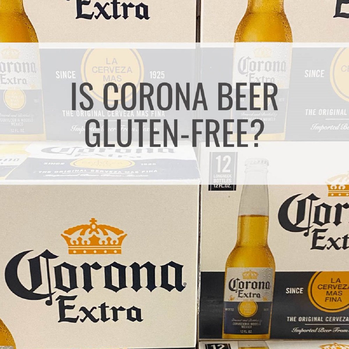 Is Corona Beer Gluten Free? Navigating Dietary Preferences