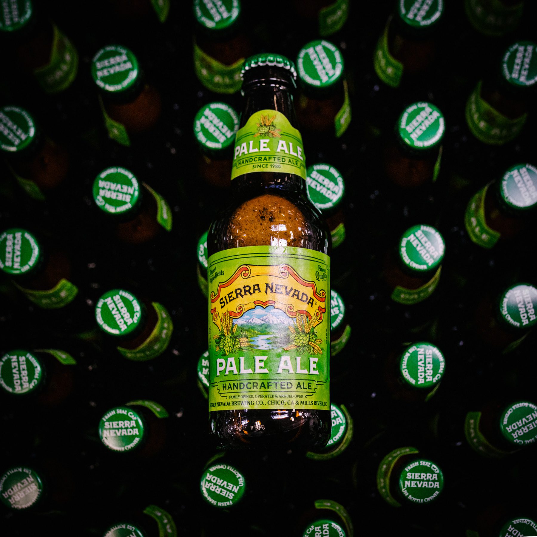 Beers in Green Bottles: Exploring Brews by Color