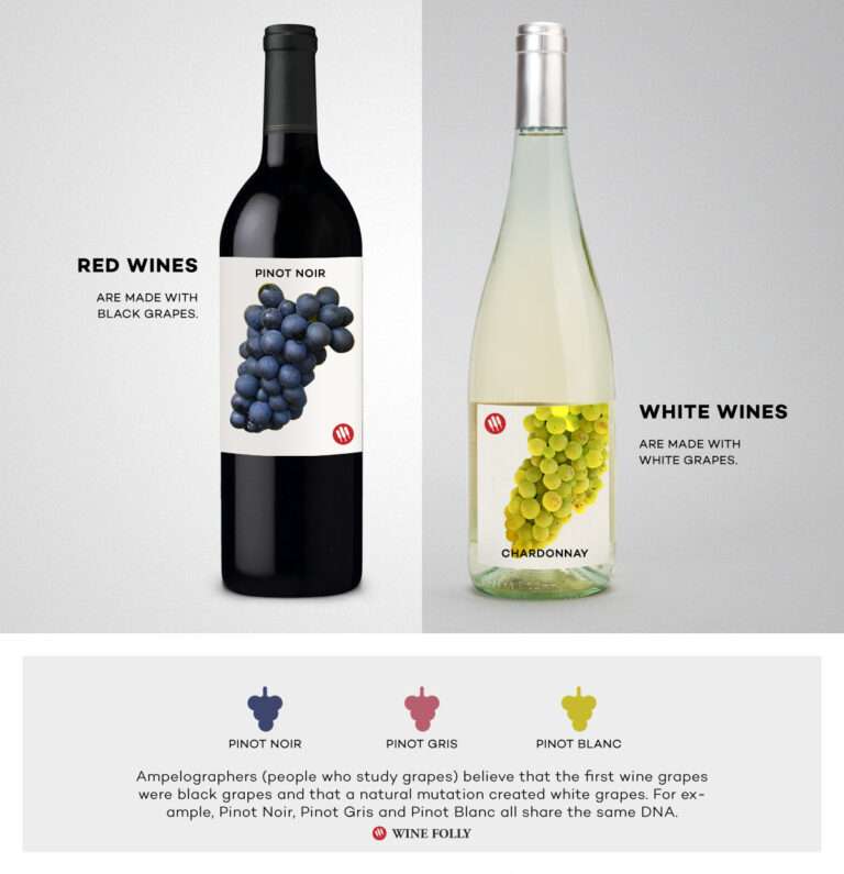 White vs Red Wine: Exploring Wine Variety